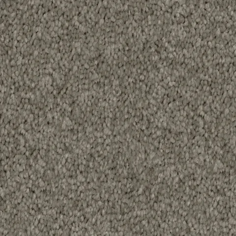 Dolphin carpet swatch